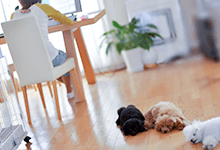 運営者のイメージ